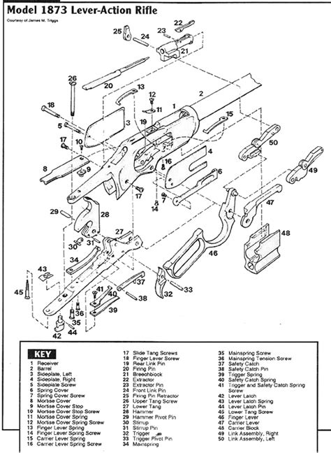 243, or. . Winchester model 190 exploded view